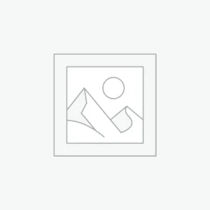 Boutiq Switch ORB V5 Disposable